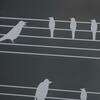 20170804_birds_049-High%20Res%20JPEG.jpg