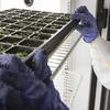 GRASP%2020180122_CST_plant_biology_104-High%20Res%20JPEG.jpg