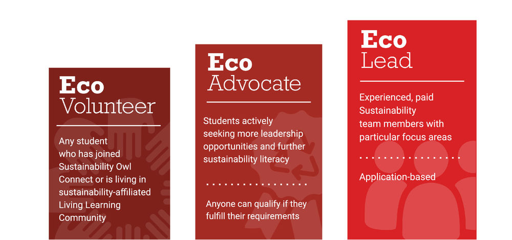 Visual representation of the three levels of involvement - EcoVolunteer, EcoAdvocate, EcoLead